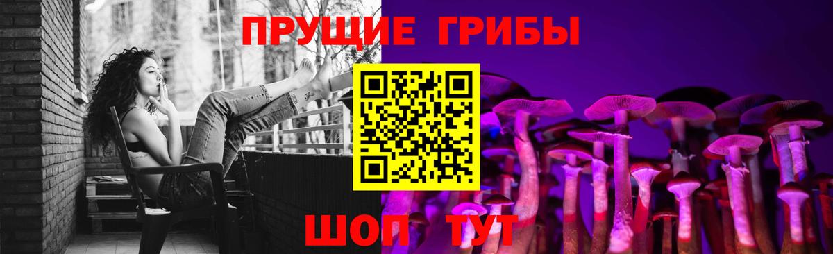 Псилоцибиновые грибы ЛСД  Вход с VPN  Губкинский  Псилоцибиновые грибы GOLDEN TEACHER 